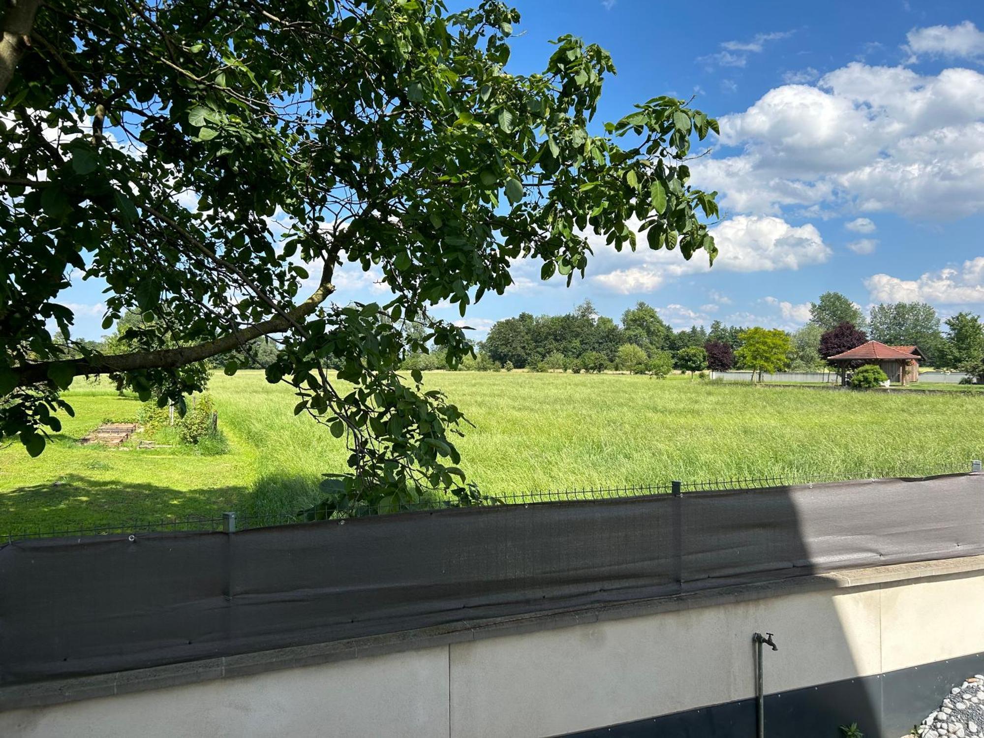 Charmant Studio Avec Terrasse Ebersheim Экстерьер фото